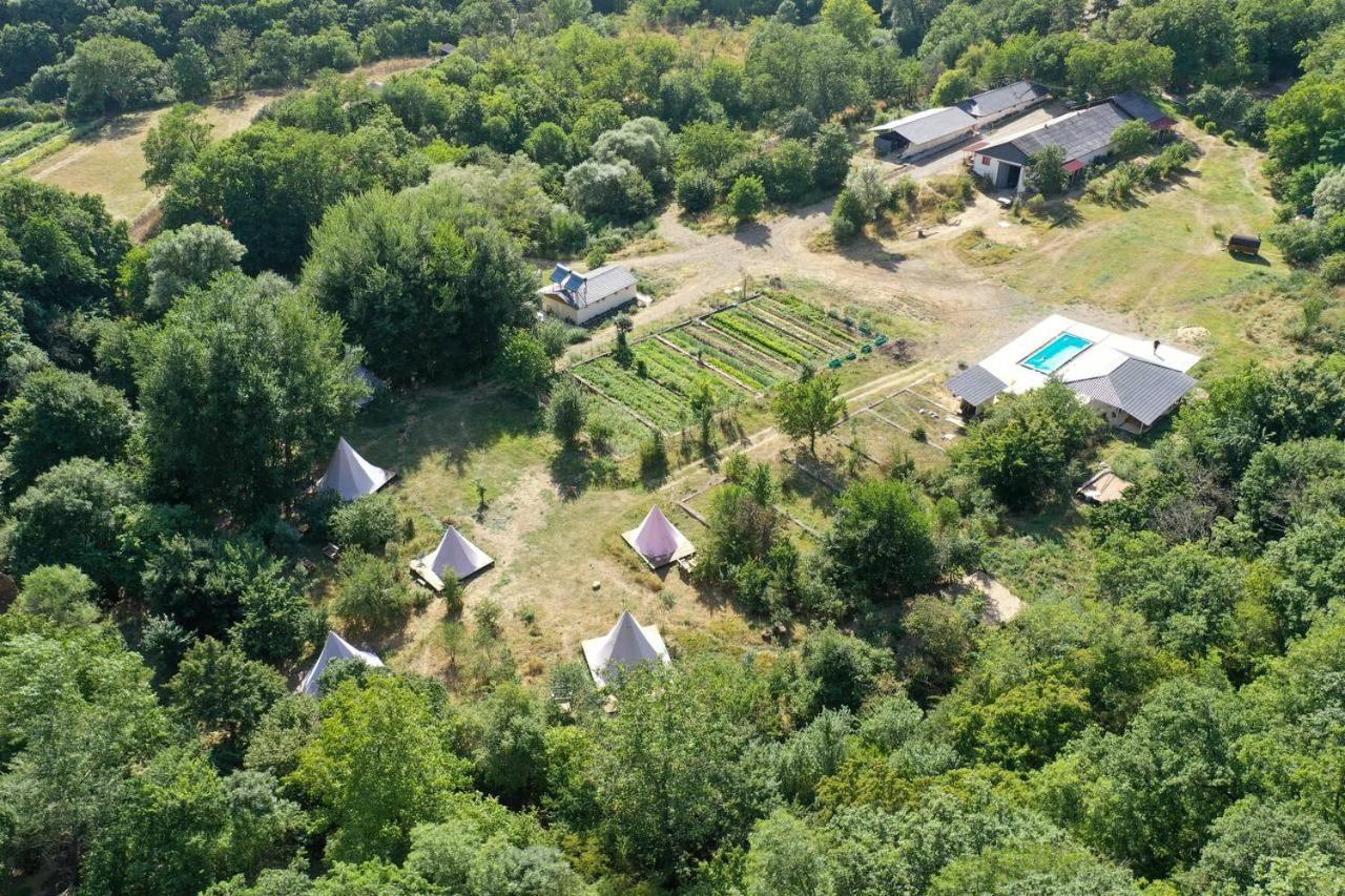 Gipsy Village Park Hotel Asureti Zewnętrze zdjęcie